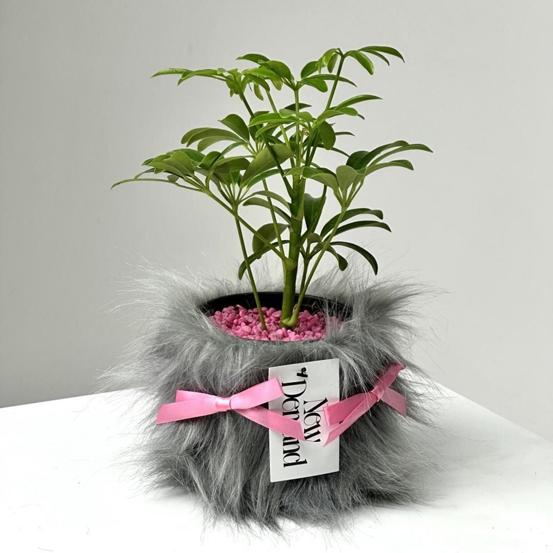 FLOWERPOT FUR (Gray)