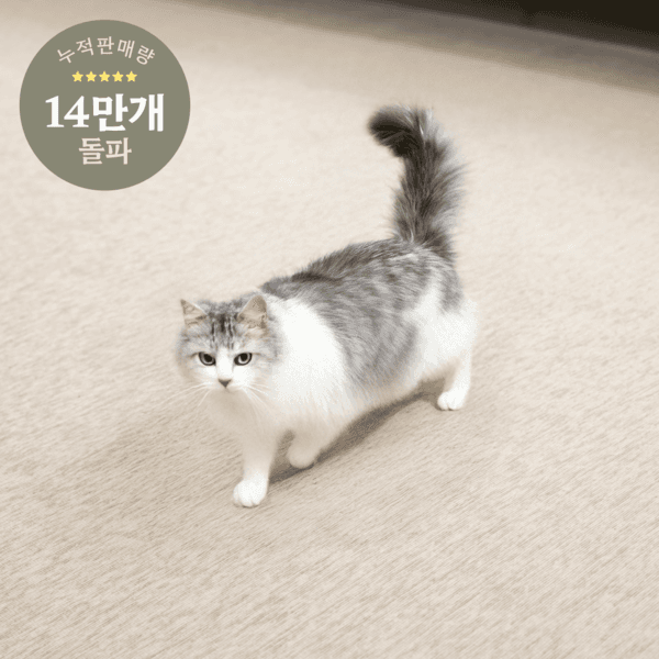 [반값특가] 미끄럼방지 스크래치방지 릴리브 이지케어 캣러그 2세대