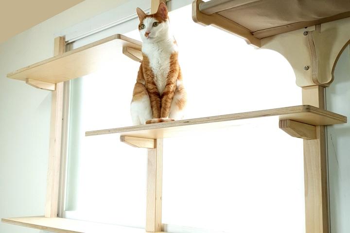 고양이휴식 창가선반 캣놀이터 멀티D