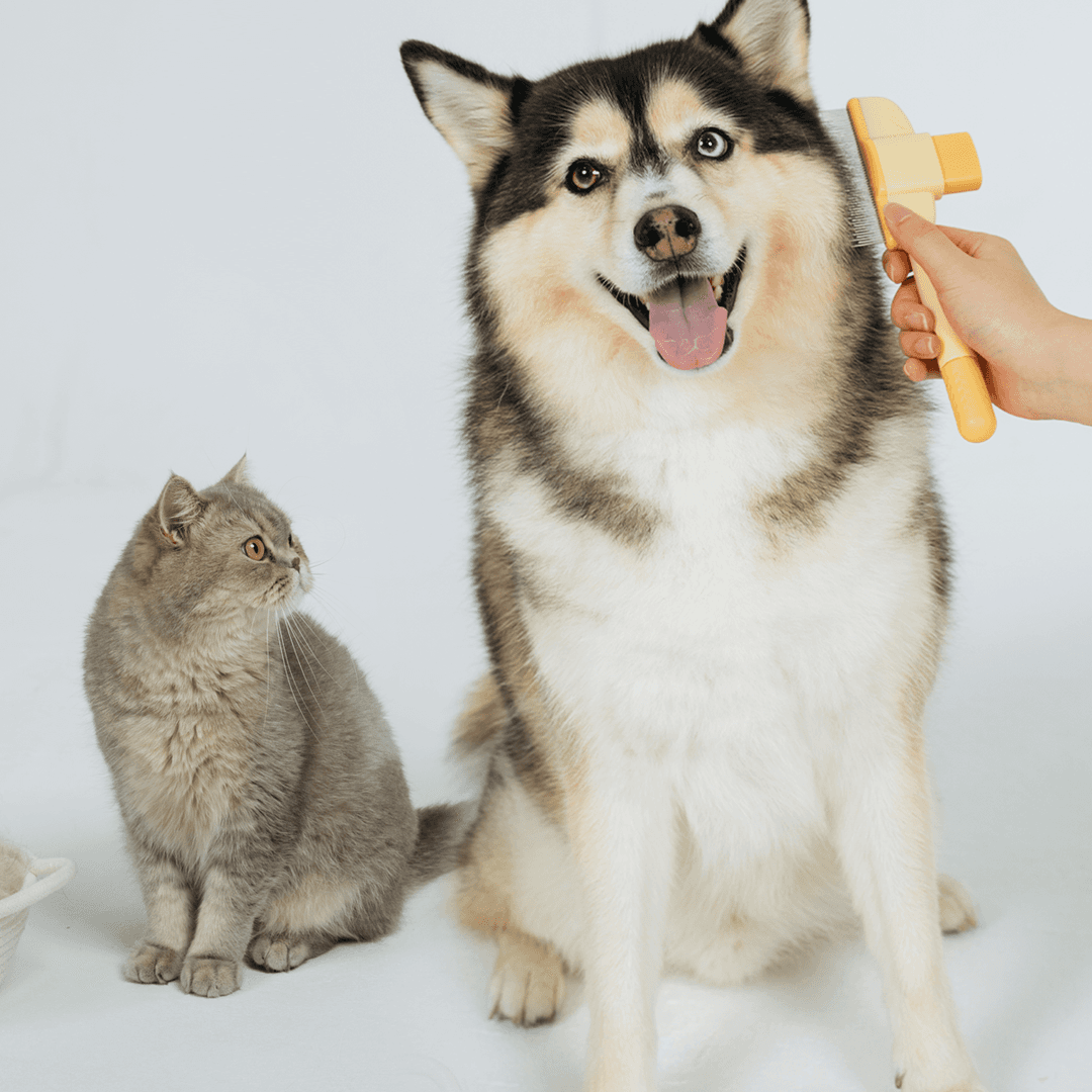 베픈 고양이 죽은털 일자빗 강아지 죽은털 일자 원터치 브러쉬