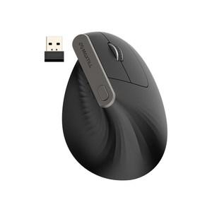 맥스틸 무소음 버티컬 무선 마우스 GM-WEM100, Black