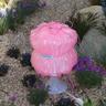 Alice's Mongshroom (PRE-ODER 10% 5.30 - 6.06)