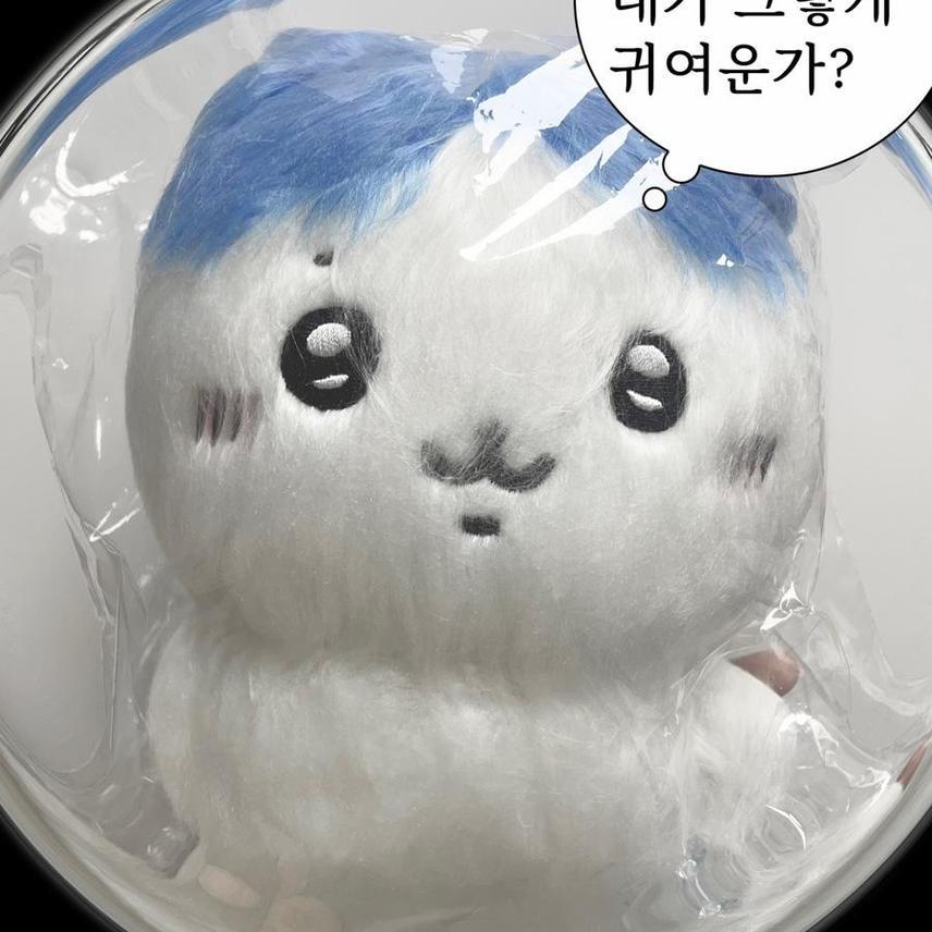 (판매)먼작귀 털찐와레 털찐 하치와레 양도