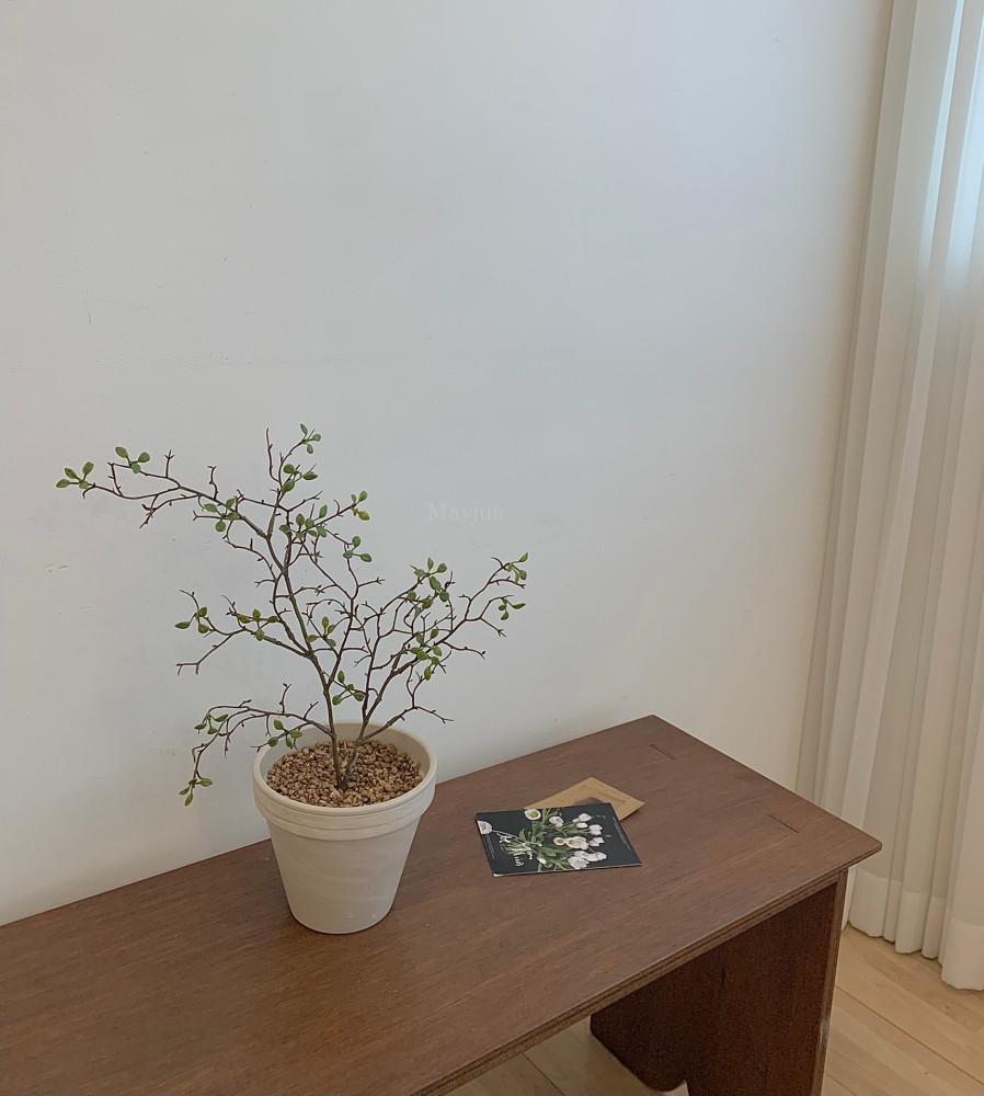 마오리코로키아 소포라 조화 나무 화분 2s 새순 나뭇가지 식물 인테리어 꽃장식