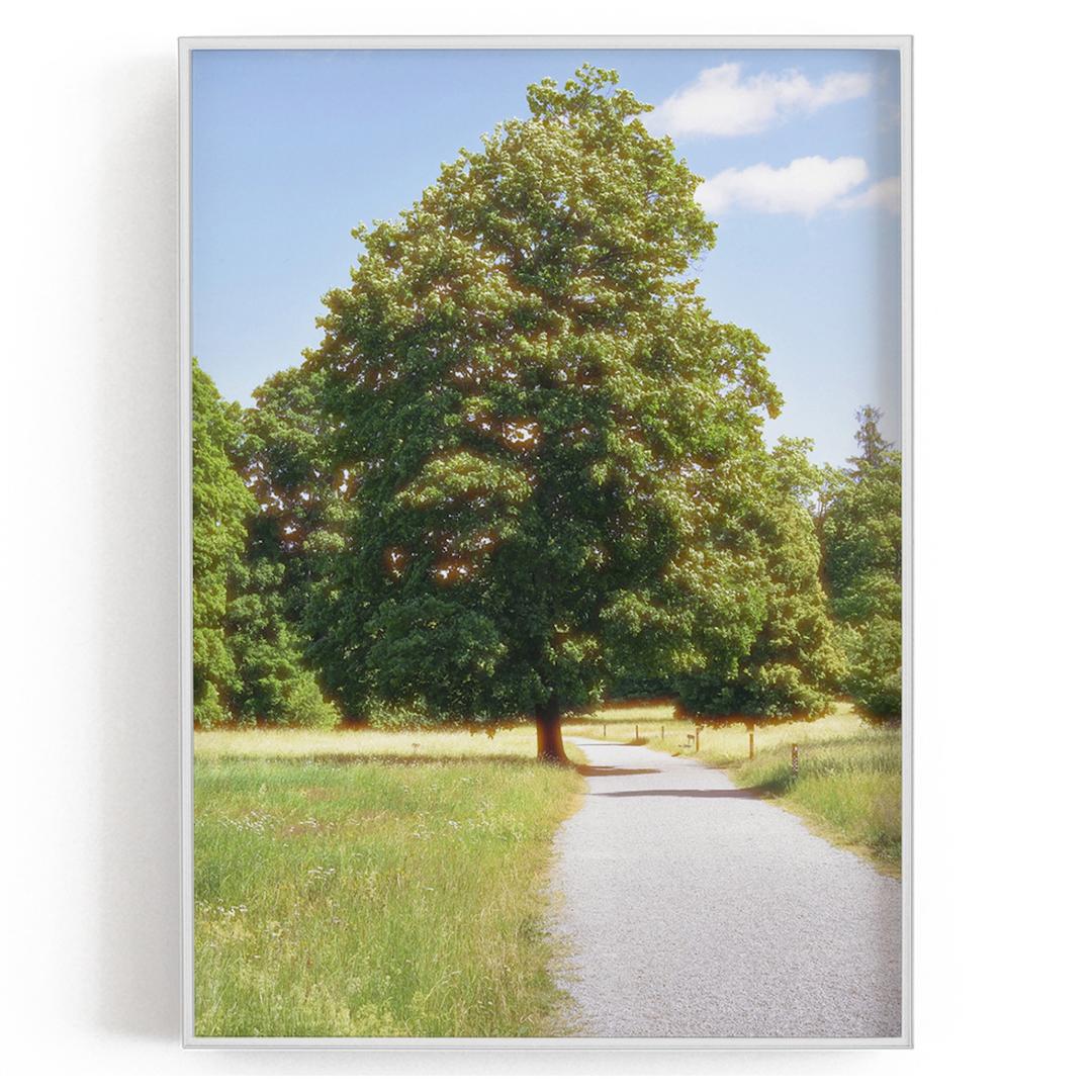 북유럽의 여름, 인테리어 포스터 / tree, Sewden #1