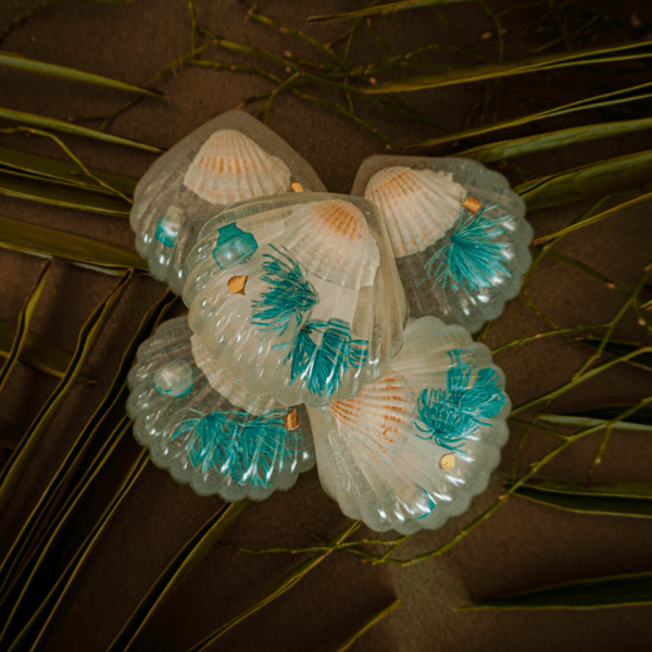 [Sea Shell Griptok] Ice