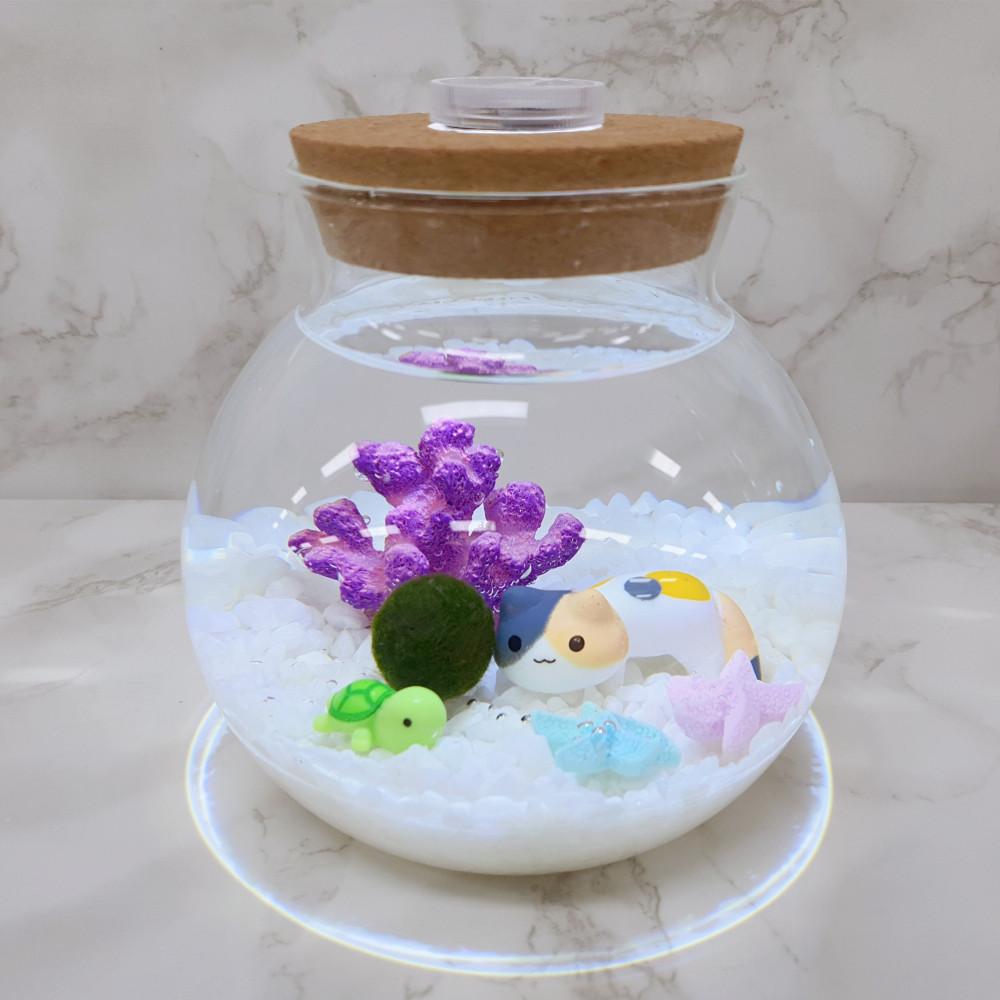 지민❥마리모 미니가든 난 네 삼색고양이 지민마리모 어항 마리모키우기 DIY