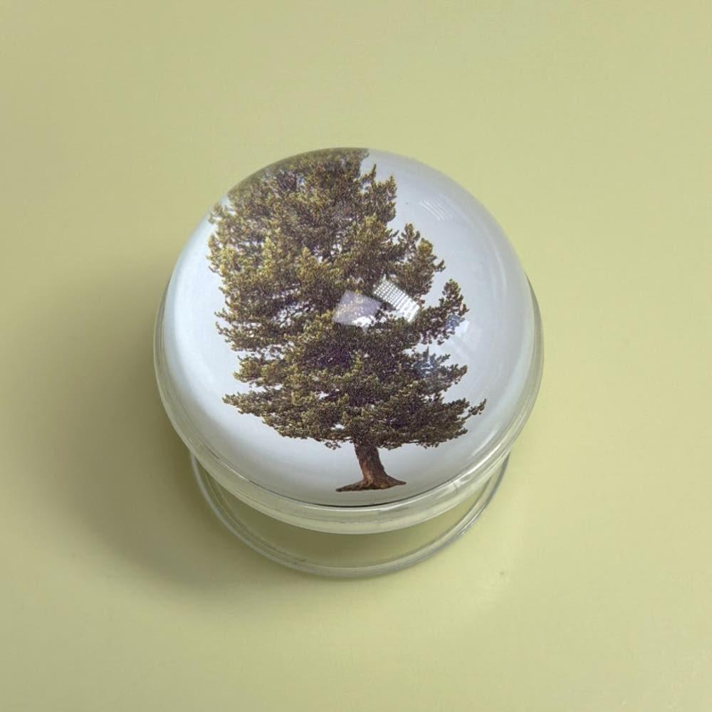 나무 그립 톡홀더 스마트톡