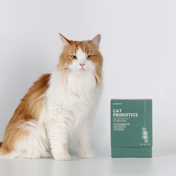 닥터바이 캣 프로바이오틱스 고양이 설사 변비 면역력 피부 장 유산균