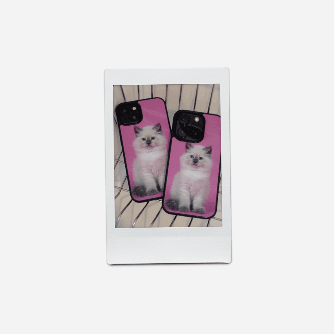 adorable kitty phonecase