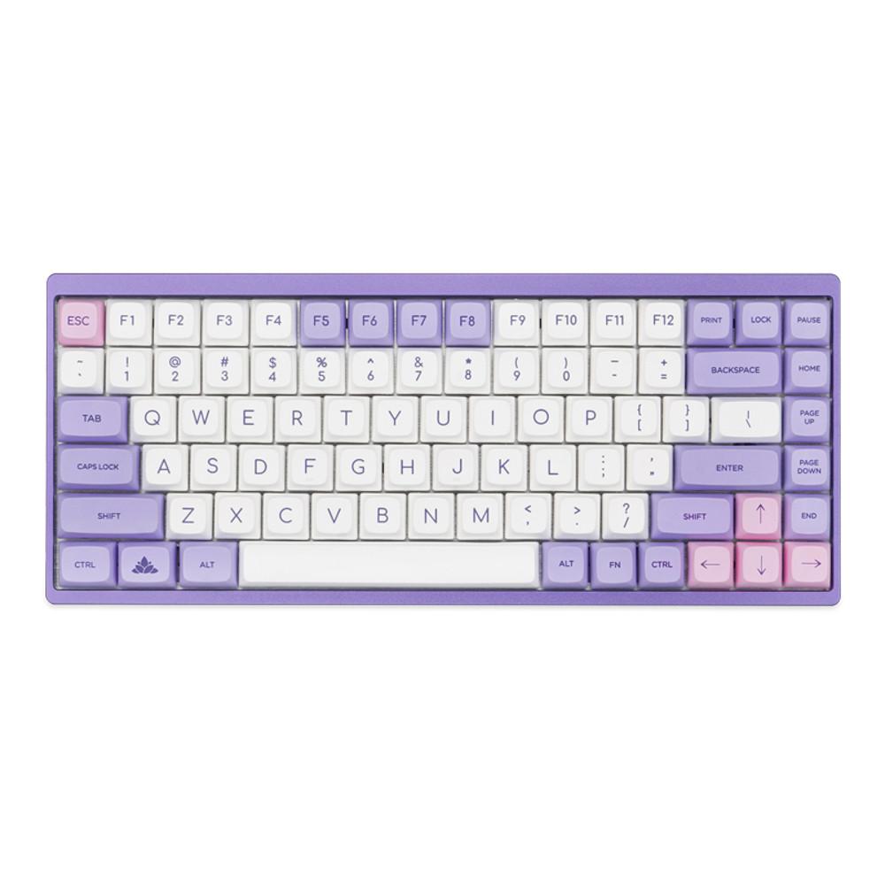 NP XDA 높이 PBT 퍼플 보라 연보라 키캡