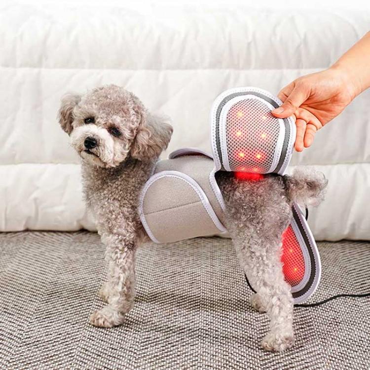 시리어스펫 슬개골 따땃망토