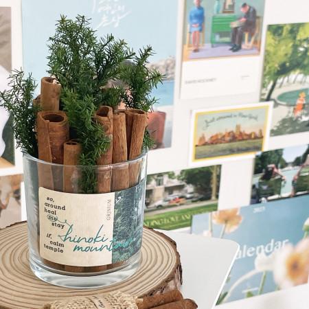 시나몬스틱 글래스홀더 천연방향제 모기퇴치 벌레기피 인테리어 여름 소품