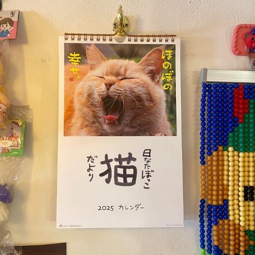 2025년 느긋한 길고양이 벽걸이 달력