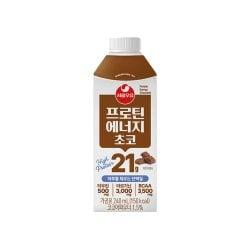서울우유 프로틴에너지 초코 단백질음료 240ml x 10개