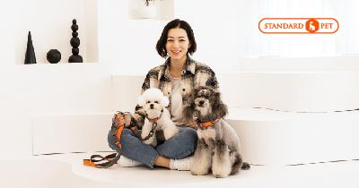 스탠다드 슬리커 브러쉬 강아지빗