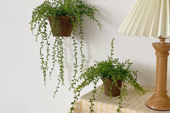 콩란 행잉플랜트 조화 2size