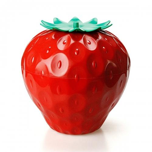 STOREBERRY CONTAINER