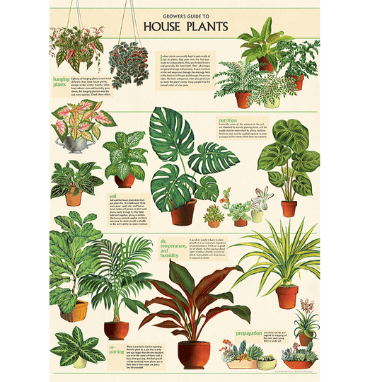 카발리니 빈티지포스터 Cavallini & Co Wrap - House Plant