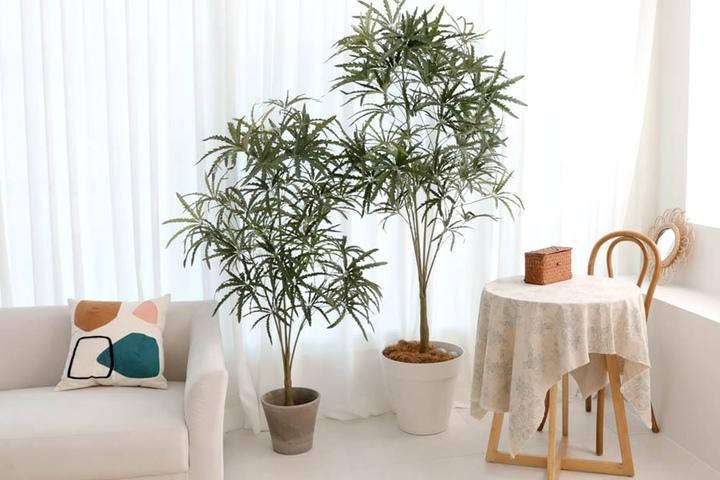 아랄리아 대형 고급 조화 나무_3size