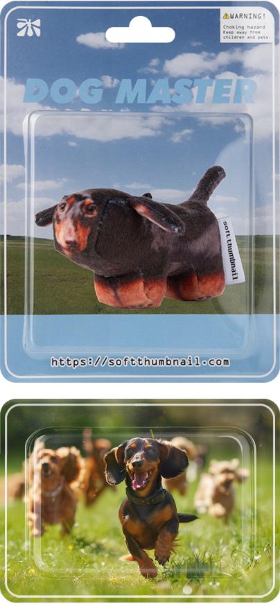 Duke, Dachshund