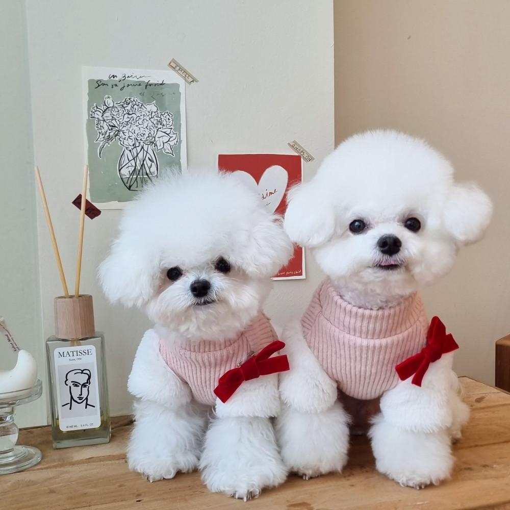젤라코 암어퀸카 울블렌드 티셔츠