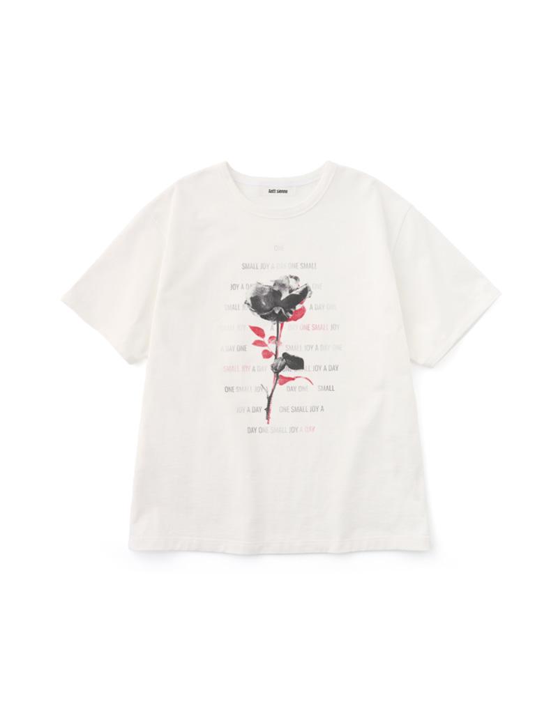 Antt Rose Top (White)