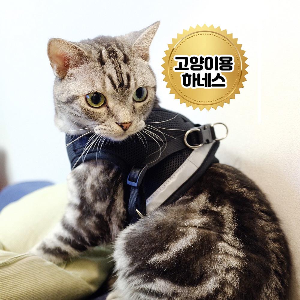 고양이 전용 편한 하네스 가슴줄 산책 리드줄 포함 국내제작