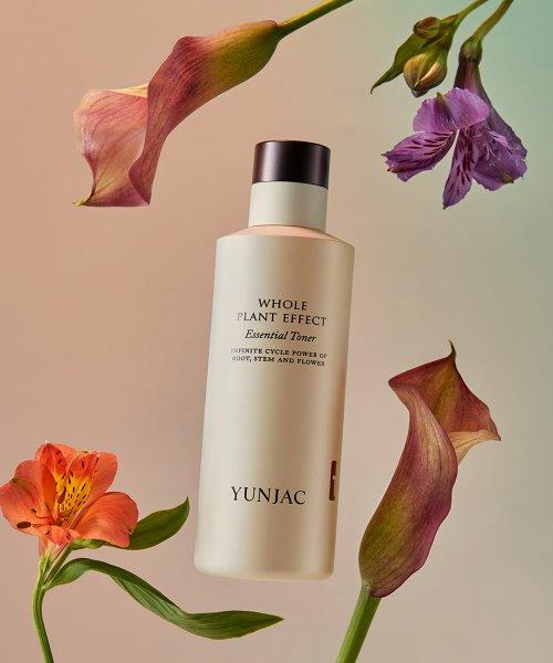 전초 에센셜 토너 150ml