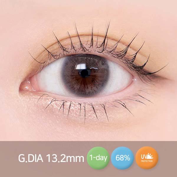 스텔라 [ 그레이 ] 원데이 10EA