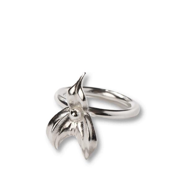 MASDEVALLIA FLOWER RING