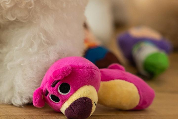 강아지 삑삑이 장난감 디즈니 플러시스틱 랏소베어