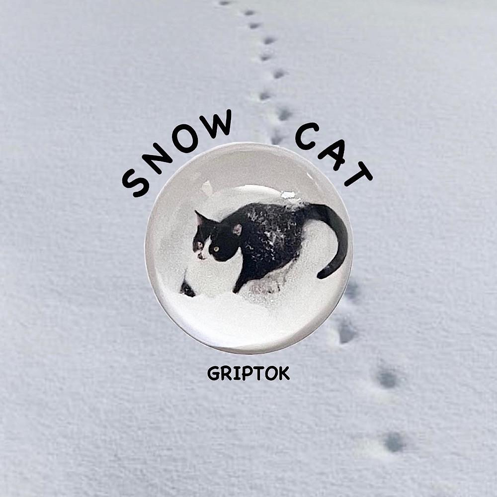 snow cat griptok : 눈 덮인 고양이 반구 그립톡 겨울, 사인코사인