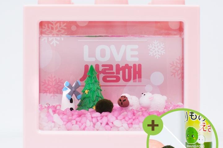 핑크핑크 양두마리 마리모 키우기 세트 마리모포함