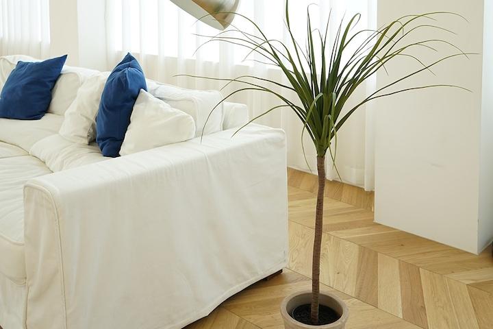 드라세나 드라코 조화 나무