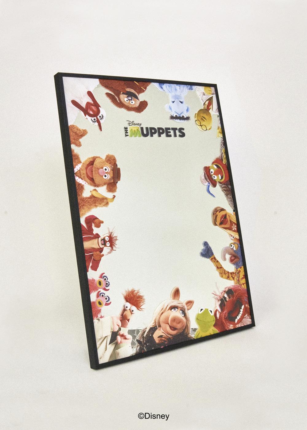MIRROR_MUPPETS(L)