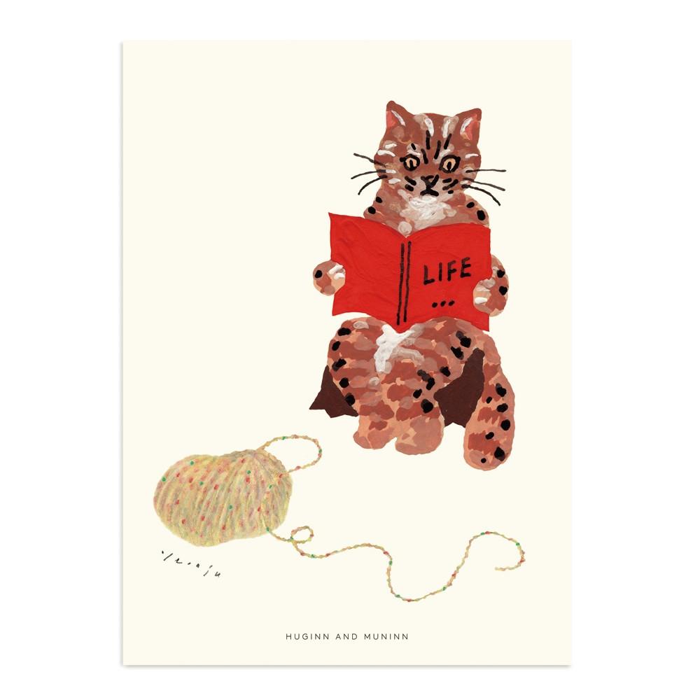 wild cat - Drawing card