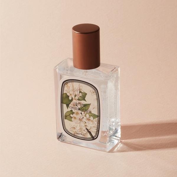 white osmanthus | 은목서