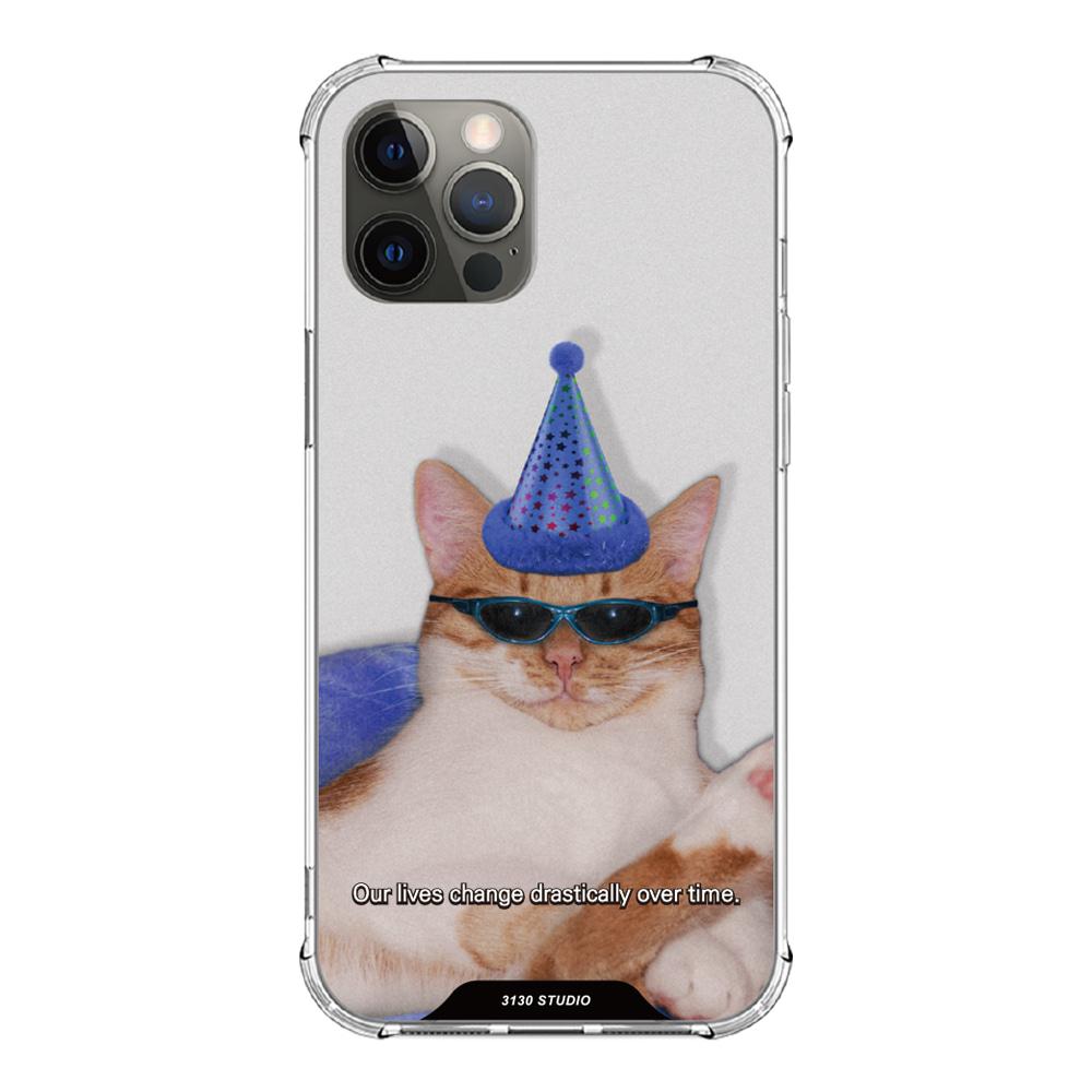 마이 데이 블루 캣 케이스