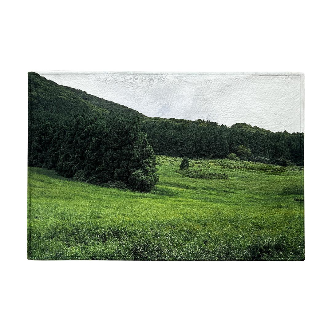 [4월 18일 예약출고] JEJU forest rug