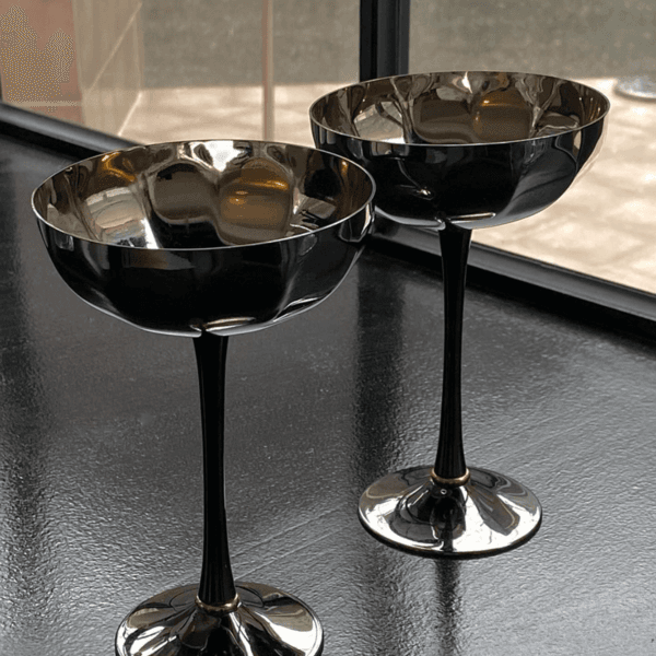 1980s stainless steel cocktail coupe (2pcs)ㅣnetherlands