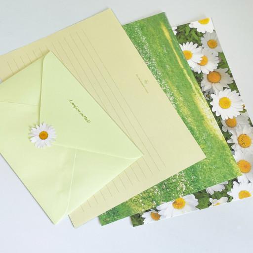 🌼마가렛 편지지 세트 (편지지, 봉투, 스티커)