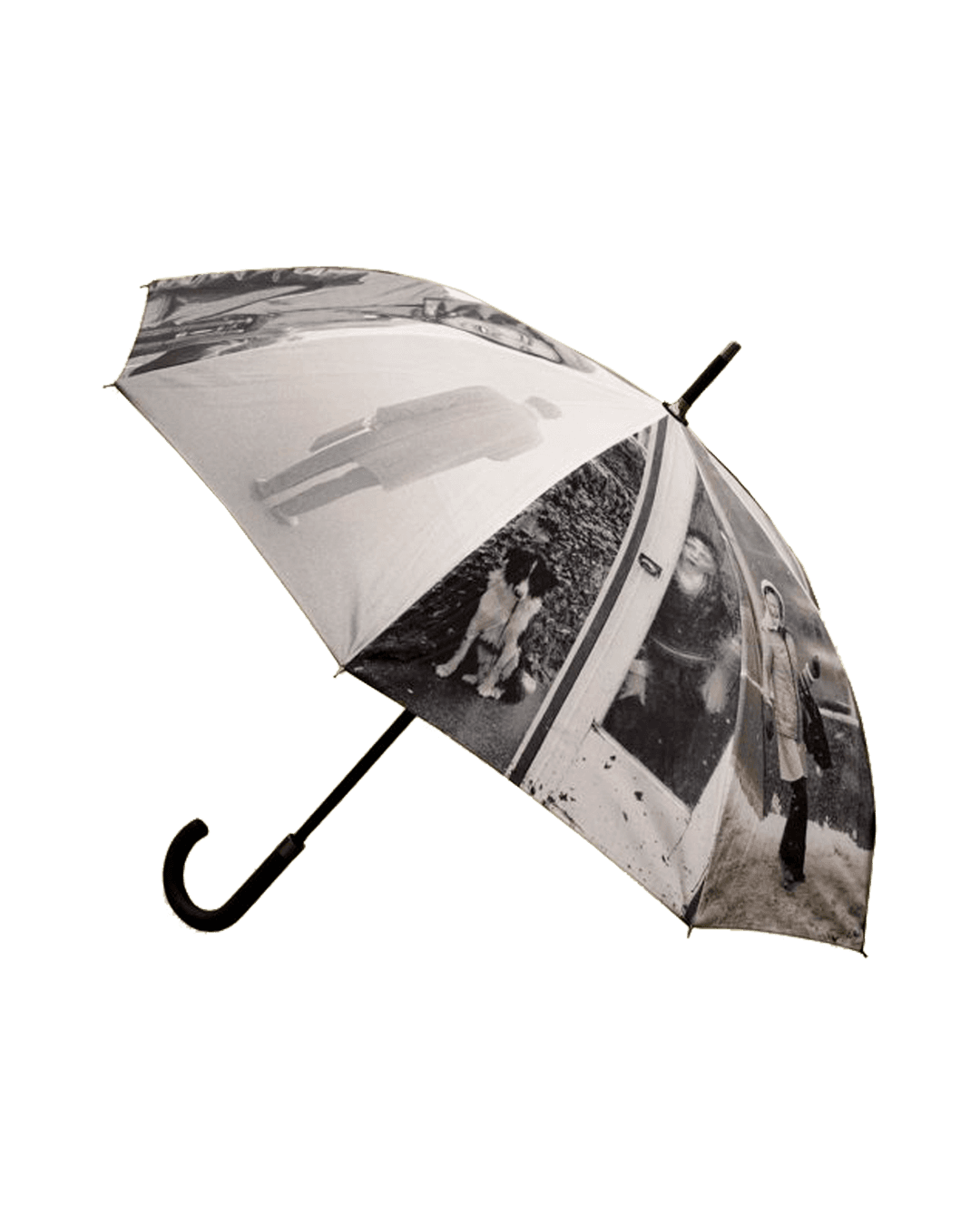Bad Weather Umbrella