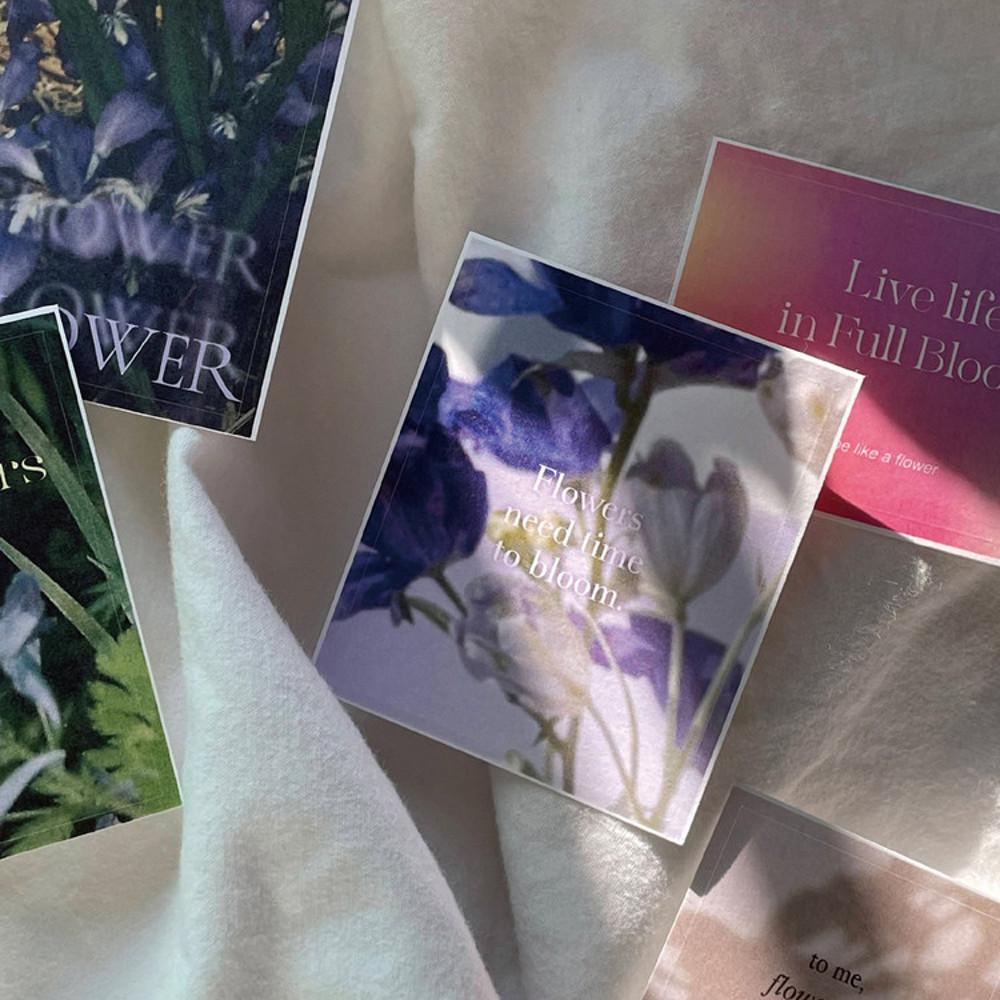 이뮤지노 플라워 사각 스티커팩