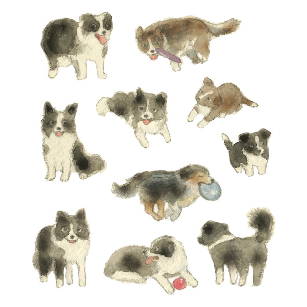 [은민] 보더콜리 스티커