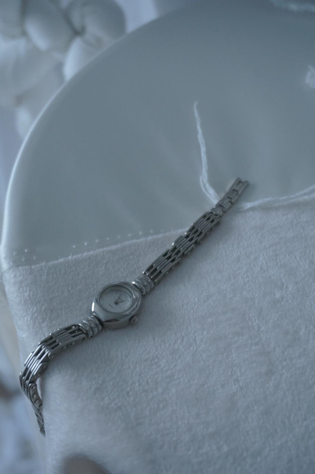Steel Link Watch