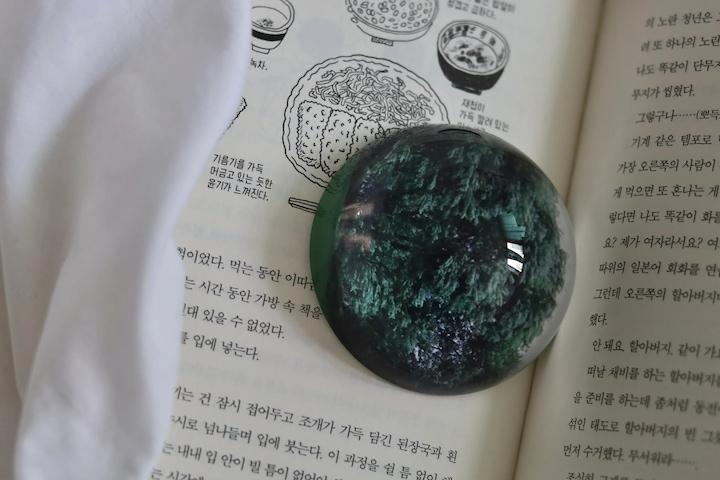 문진 숲 인테리어 오브제