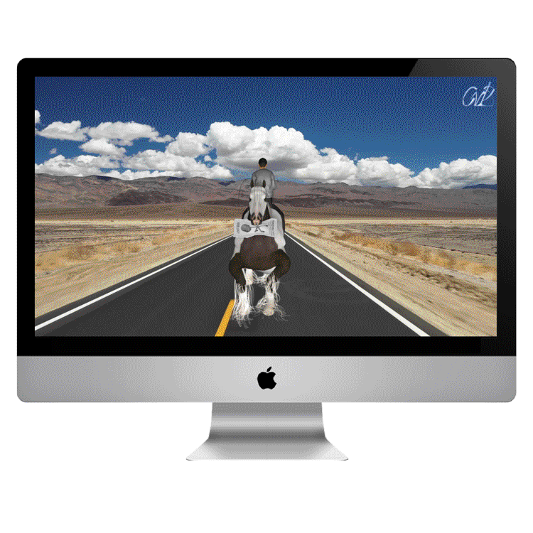#1. WALKIING HORSE screen saver (digital file)