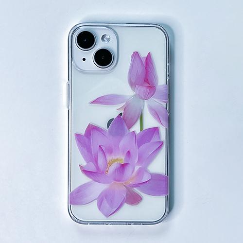 압:화 연꽃
