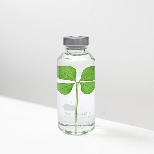 네잎클로버 표본 30ml